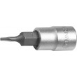 orech 1/4" TORX 25